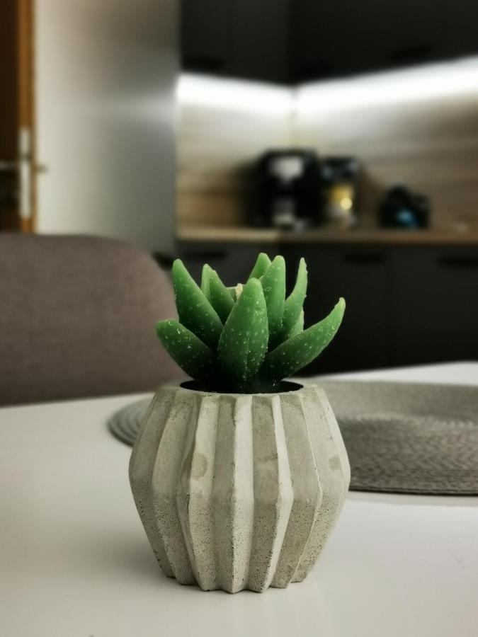 Apartman Mlynska Strouha Pilsen Exterior foto